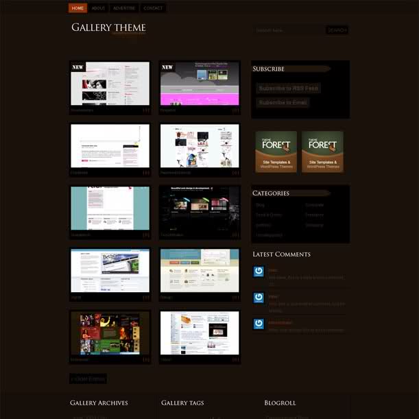 Gallery Theme Premium Showcase Wordpress Theme