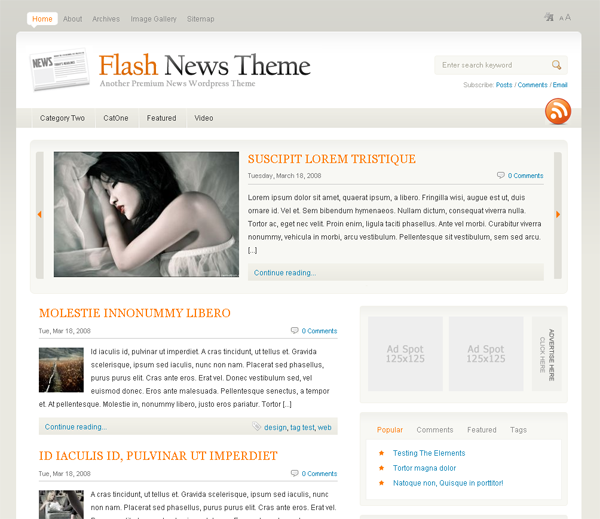 Flash News Wordpress Theme
