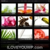 Richwp Photodark Wordpress Theme