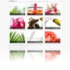 Rich Photo Wordpress Theme