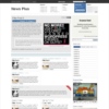 Zidalgo News Plus Gray Color Premium Wordpress Theme