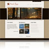 Wpa Parade Corprate E-Business Portfolio Premium Wordpress Theme